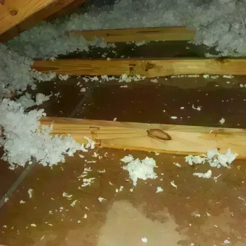 Attic Water Damage in Cuming County, NE